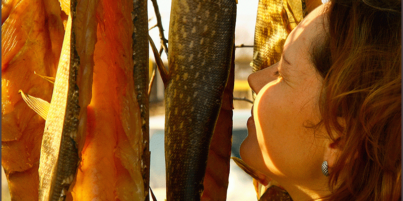 Копчение рыбы ивовыми опилками