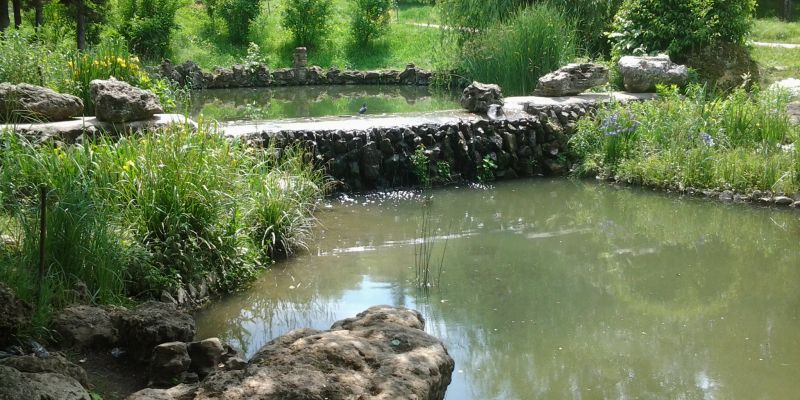 Водоем на даче для рыбы