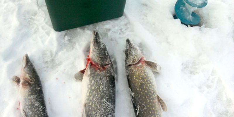 Зимняя блесна - простое решение для непростых условий рыбалки