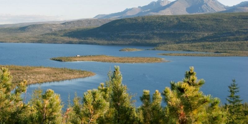 На Колыме установлены сроки лососевой путины