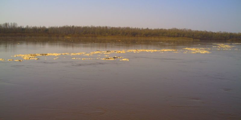 В Западной Сибири вводится весенний  нерестовый запрет