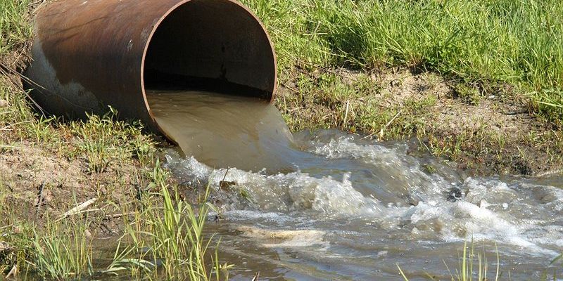 Загрязненность Оки в городской черте Калуги  превышает ПДК в 480 раз