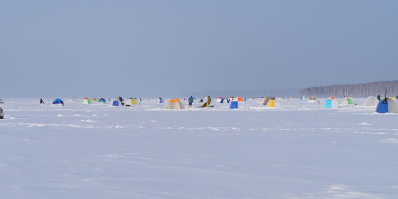 Фестиваль "Белоярский Синдром - 2014" пройдет 20 - 21 декабря