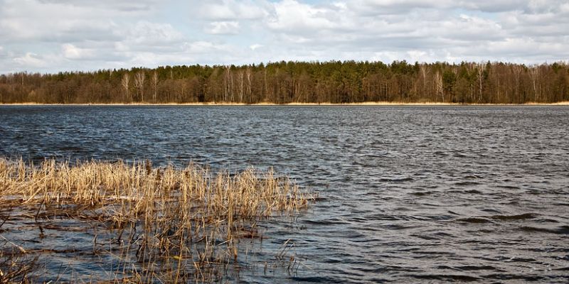 В Брянской области жители зарыбляют водоемы за свой счет