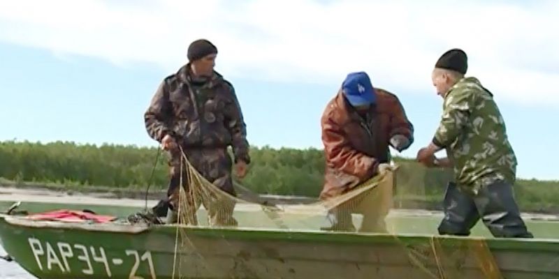 Подмосковных браконьеров привлекут к уголовной ответственности за электроудочки