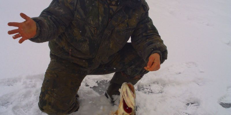 Фестиваль "Первый лёд" на на Чебоксарском водохранилище