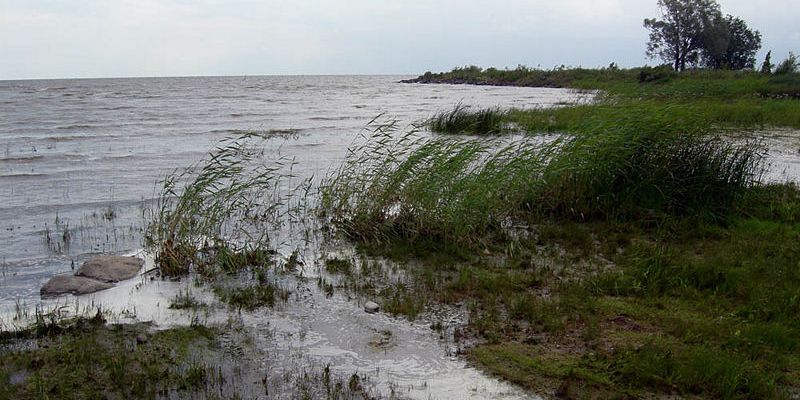На Псковском, Чудском и Теплом озерах будет запрещен вылов судака и леща