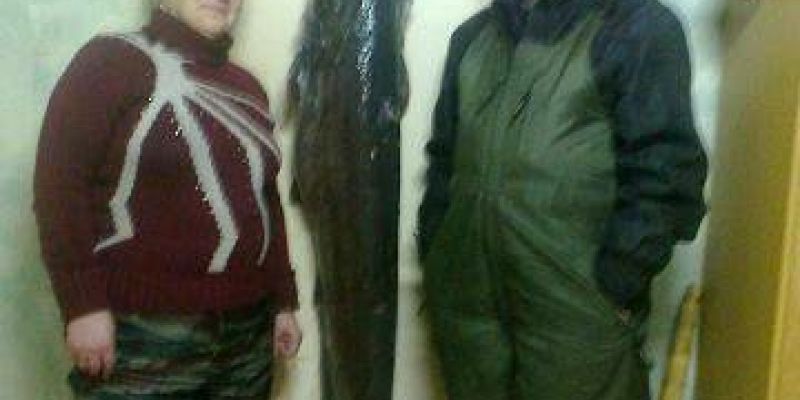  Жительница Костромской области поймала со льда  полутораметрового сома