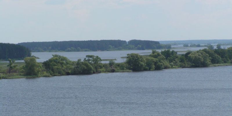 НП "Народная рыбалка" добилось отмены промышленного лова на Иваньковском водохранилище  