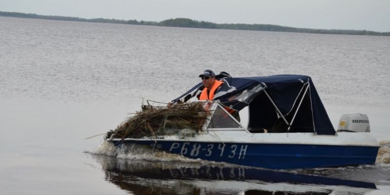 Чемпионат по ловле браконьерских сетей