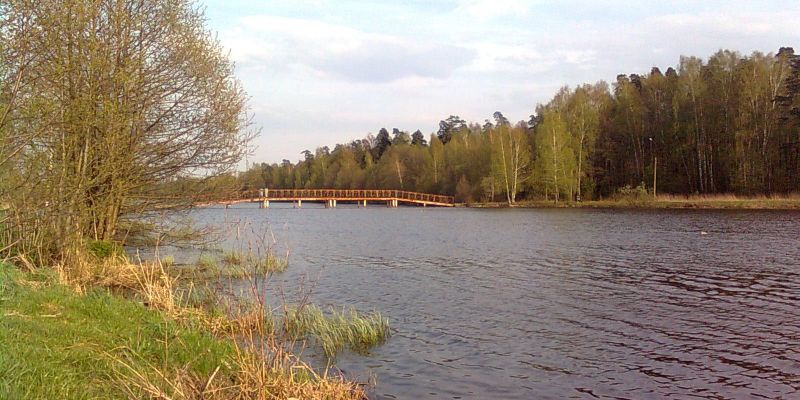 С 10 июня в Московской области сняты ограничения на рыбалку
