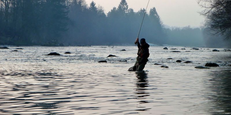 С 15 мая в Приморье разрешается ловля лосося
