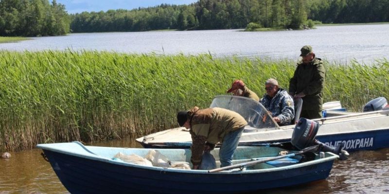 Экологическая акция на озере Любимовское