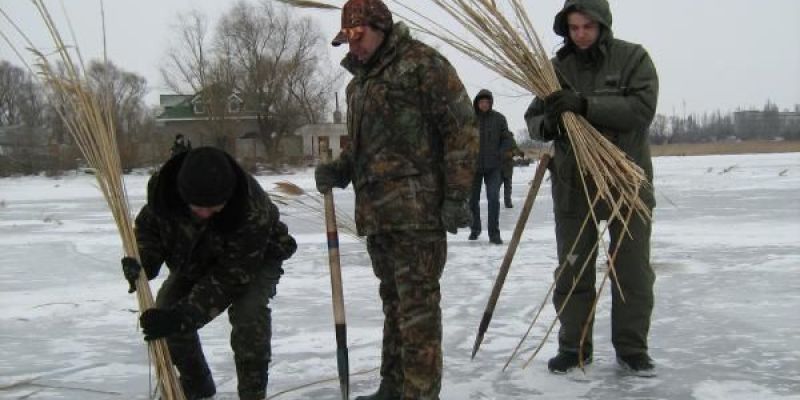На водоемах Костромской области проводятся  антизаморные мероприятия 
