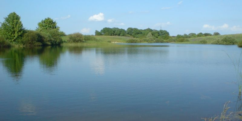 В Белгородской области будет зарыблено свыше 200 прудов