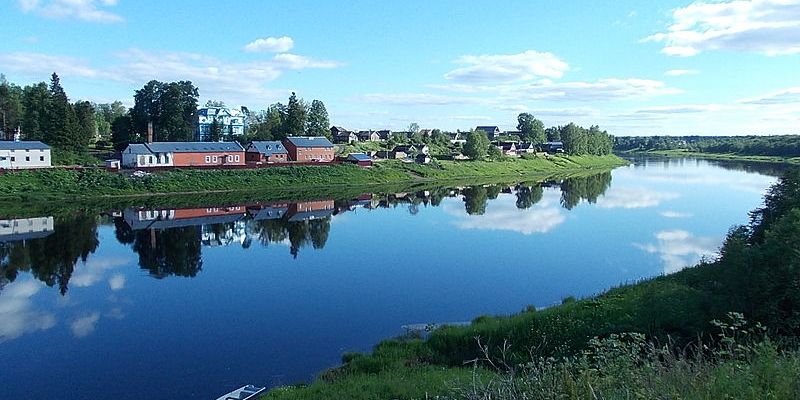 В Ленобласти продолжается зарыбление водоёмов