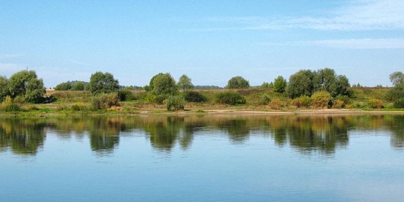 Калужские браконьеры  перекрывали русло реки Брынь