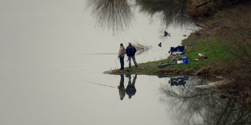  В Ростовской области планируют ограничить суточную норму вылова