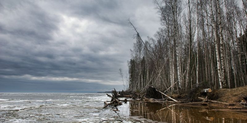 Нерестовый запрет продлится в Ярославской области 2 месяца