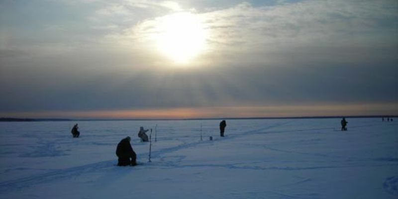 Рыбинскому водохранилищу грозит экологическая катастрофа