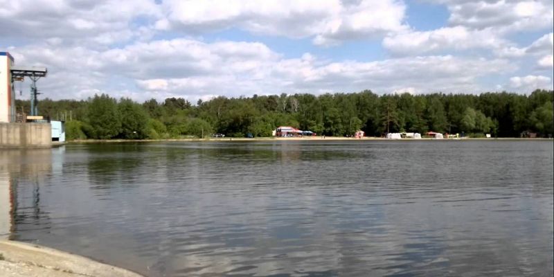 В Челябинске выясняют причины массовой гибели рыбы в Шершнёвском водохранилище