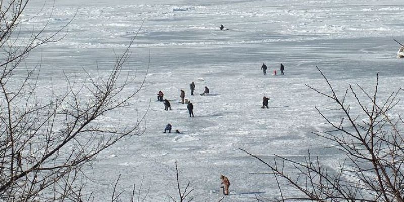 Смоленские водоемы признаны безопасными для рыбаков