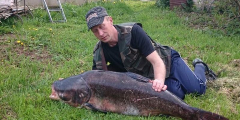 Белорусский рыболов поймал толстолобика весом 36 кг