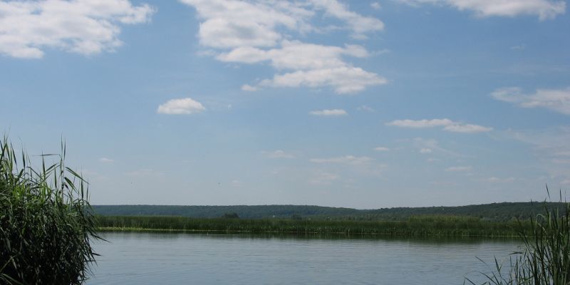 Воронежское водохранилище меняет цвет
