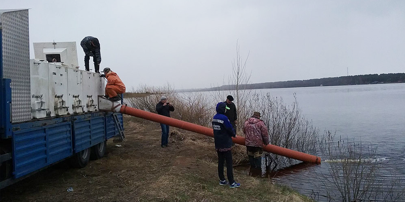 Водоёмы Вологодской и Псковской областей пополнили нельма и щука