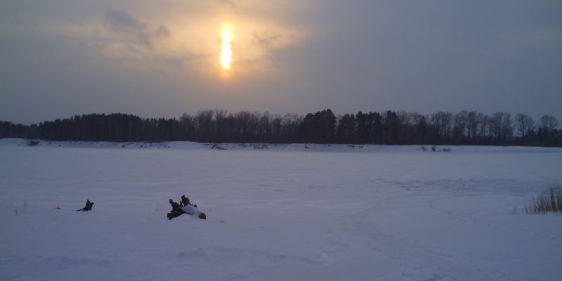 На водоемах Томской области проводятся антизаморные мероприятия