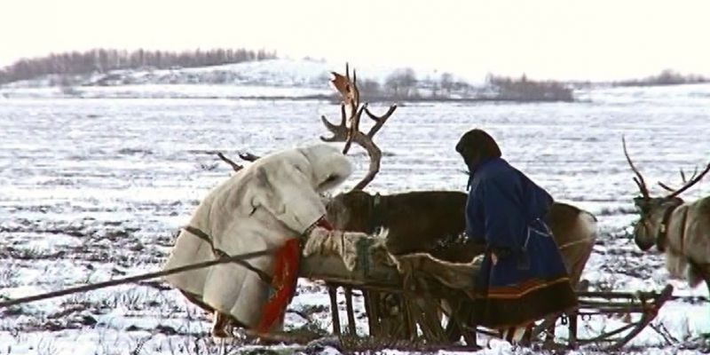 На Ямале примут собственный закон о рыболовстве