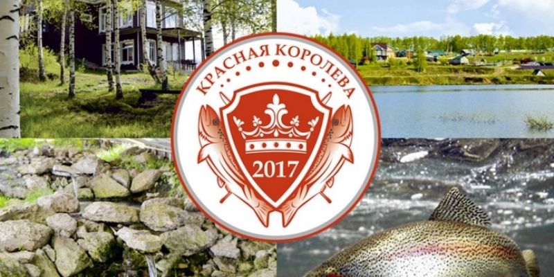 "Красная королева - 2017"