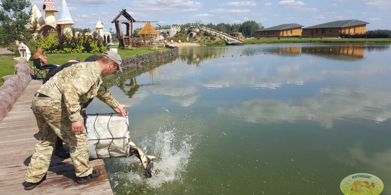 Отчёт о платной рыбалке 18.08.2018