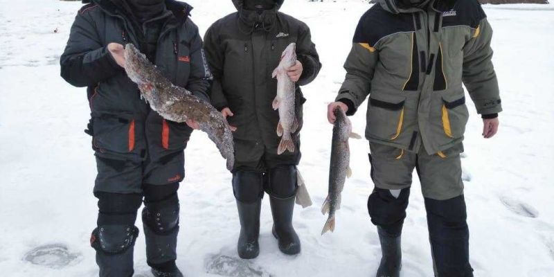 Отчет о рыбалке. Налим клюет! Рыболовный клуб Ихтиолог - платная рыбалка в Подмосковье