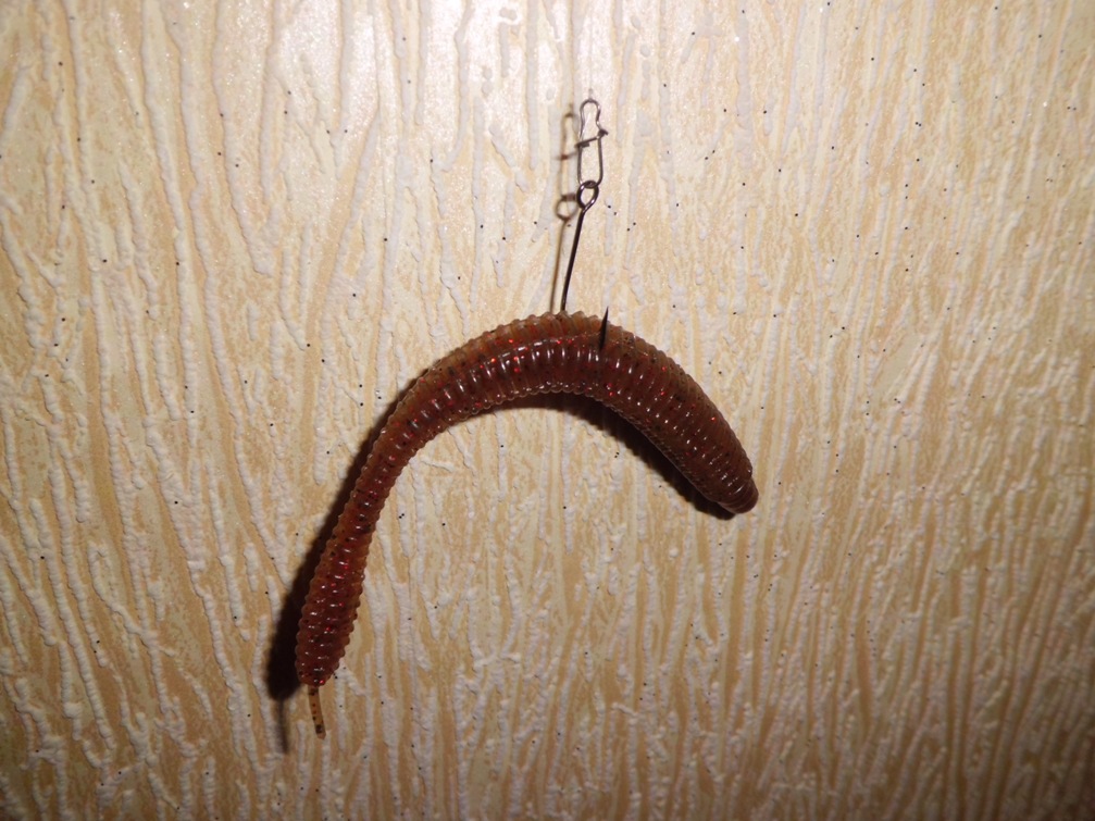 Силиконовый червь, оснащенный по методу wacky, фото