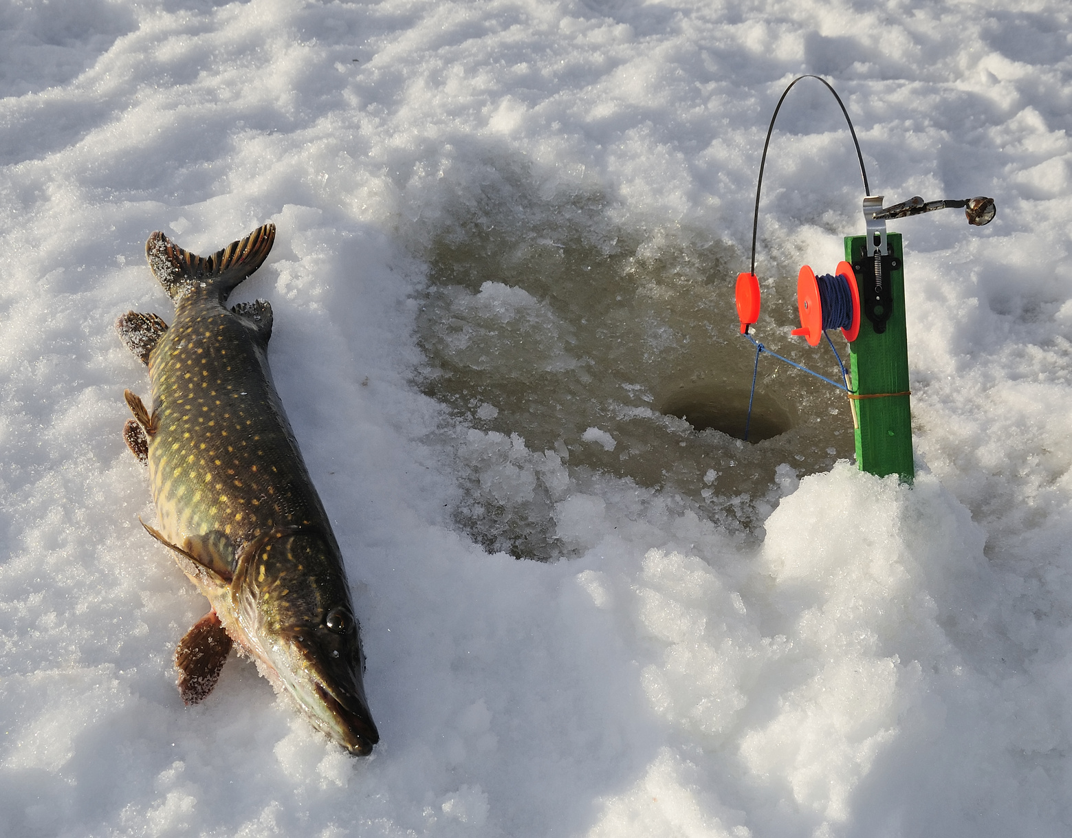 рыбалка на щуку зимой на жерлицу