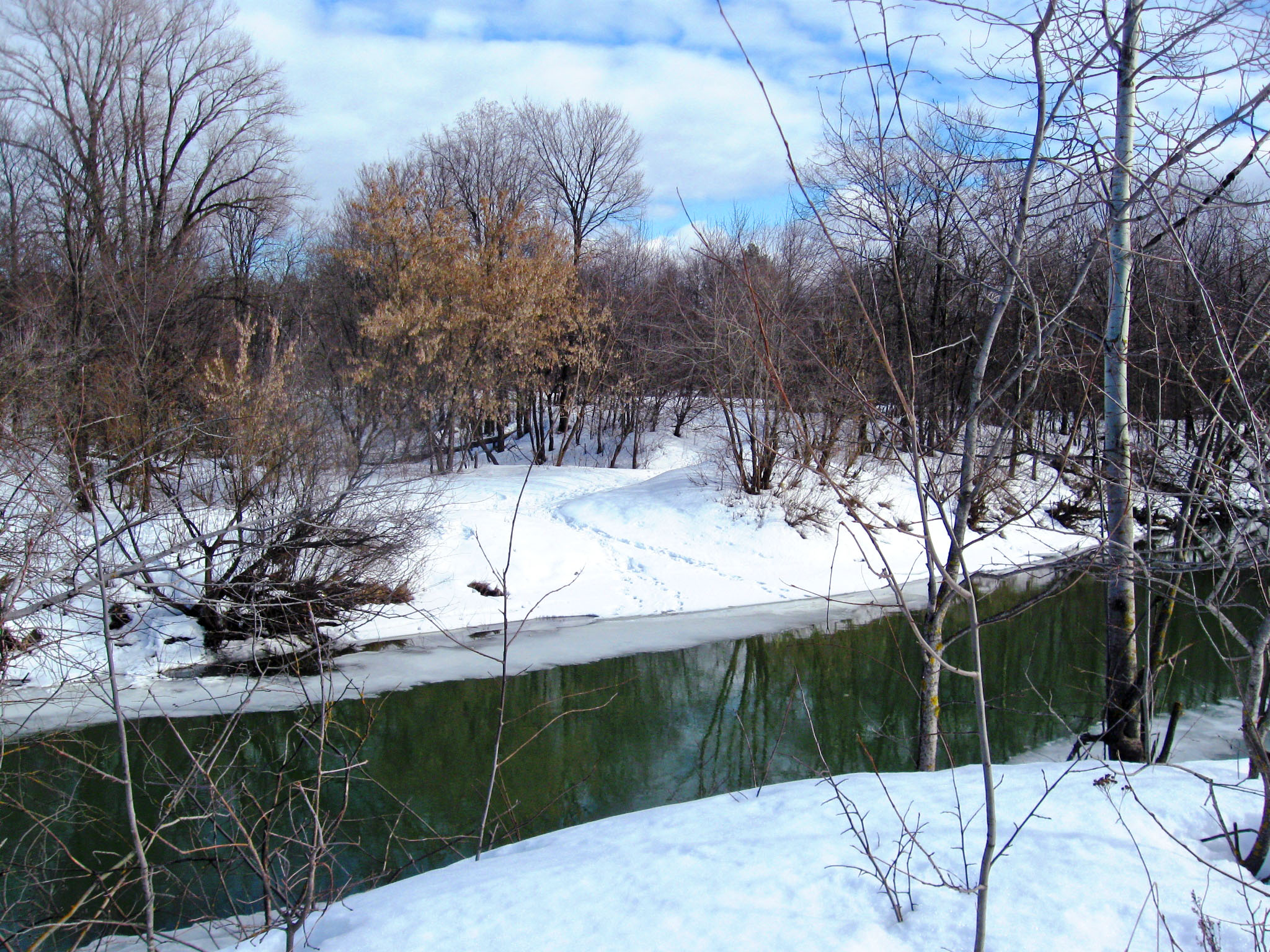 Речка практически не замерзает зимой, фото